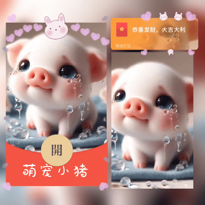 【红包封面】萌宠小猪zw/新版动态