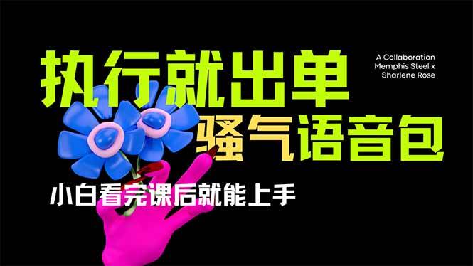 爆火全网的开车导航骚气语音包。只要执行就出单，小白看完课程就能实操，当天收益2000+-小千网络