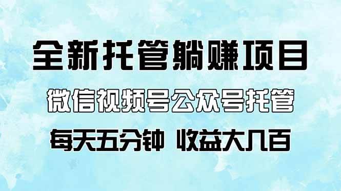 全新托管躺赚项目，微信视频号公众号托管代运营，每天五分钟，收益大几百-小千网络