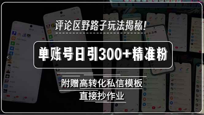 评论区野路子玩法揭秘，单账号日引300+精准粉，附赠高转化私信模板