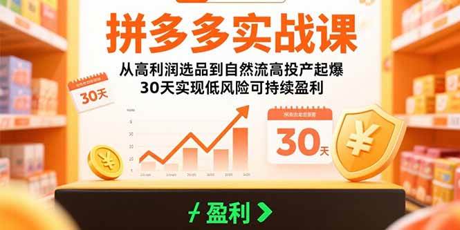 拼多多实战课：从高利润选品到自然流高投产起爆，30天实现低风险可持续盈利