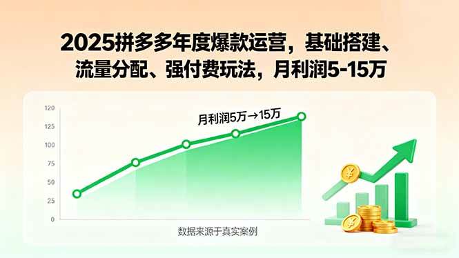 2025拼多多年度爆款运营，基础搭建、流量分配、强付费玩法，月利润5~15万